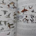 راهنمای میدانی پرندگان ایران