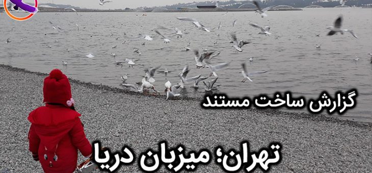 پروژه ساخت مستند «تهران میزبان دریا»