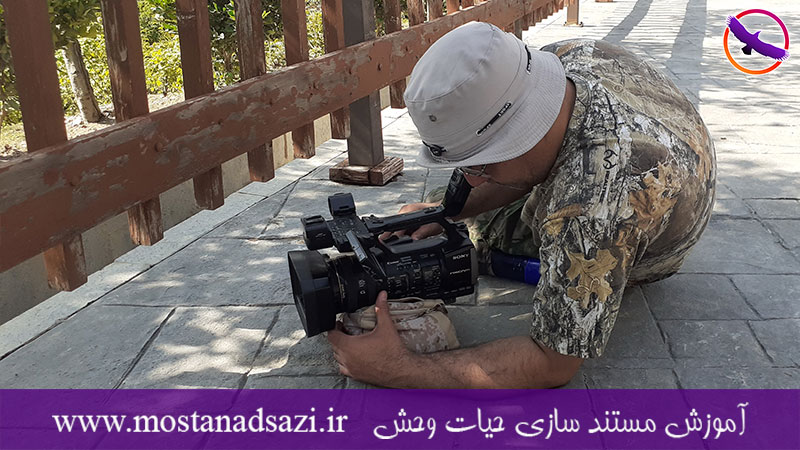 گزارش برگزاری دوره فیلمساز حرفه ای 3