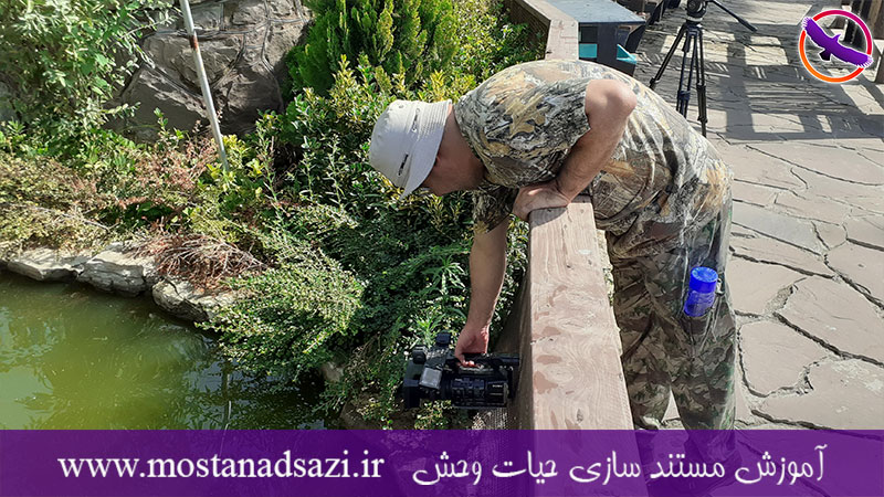 گزارش برگزاری دوره فیلمساز حرفه ای 3