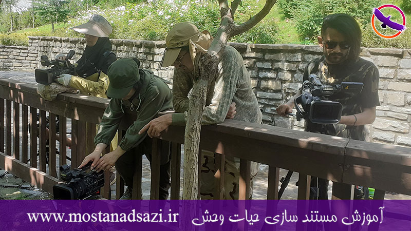 گزارش برگزاری دوره فیلمساز حرفه ای 3