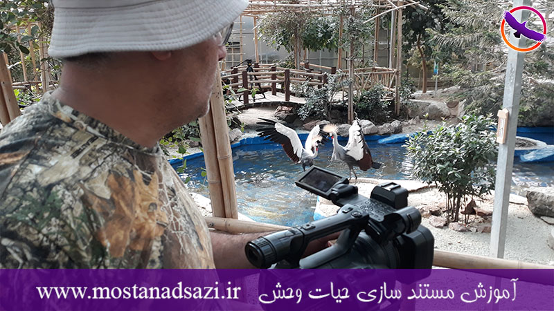 گزارش برگزاری دوره فیلمساز حرفه ای 3