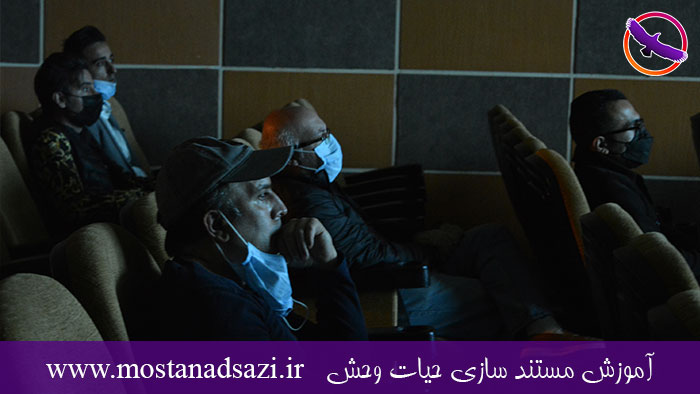 گزارش هشتمین اکران مستند حیات وحش