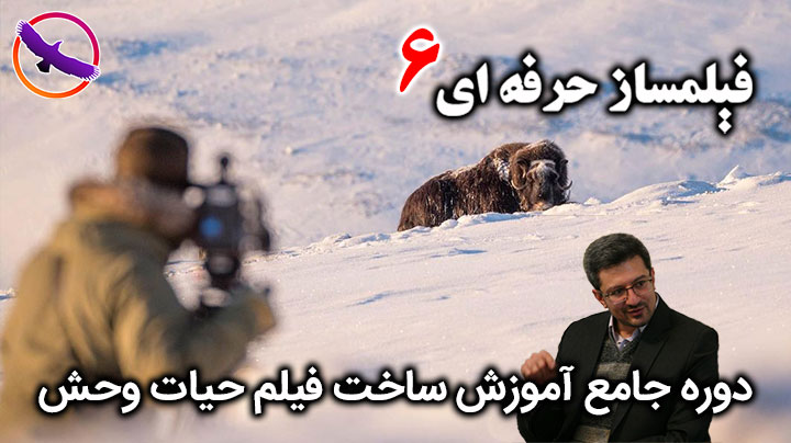 فیلمساز حرفه ای 6