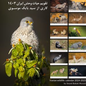 تقویم نفیس دیواری سال 1403