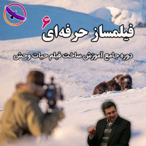 فیلمساز حرفه ای 6
